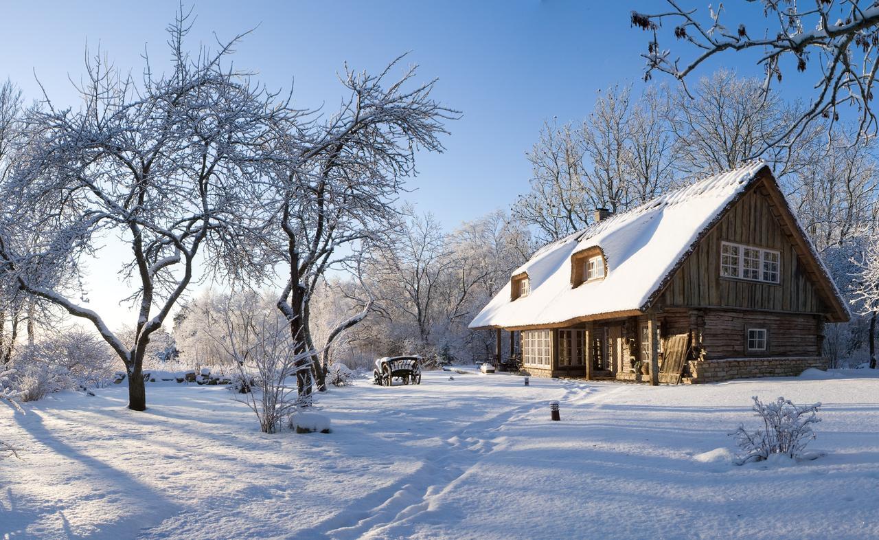 Paedaste Manor Dış mekan fotoğraf